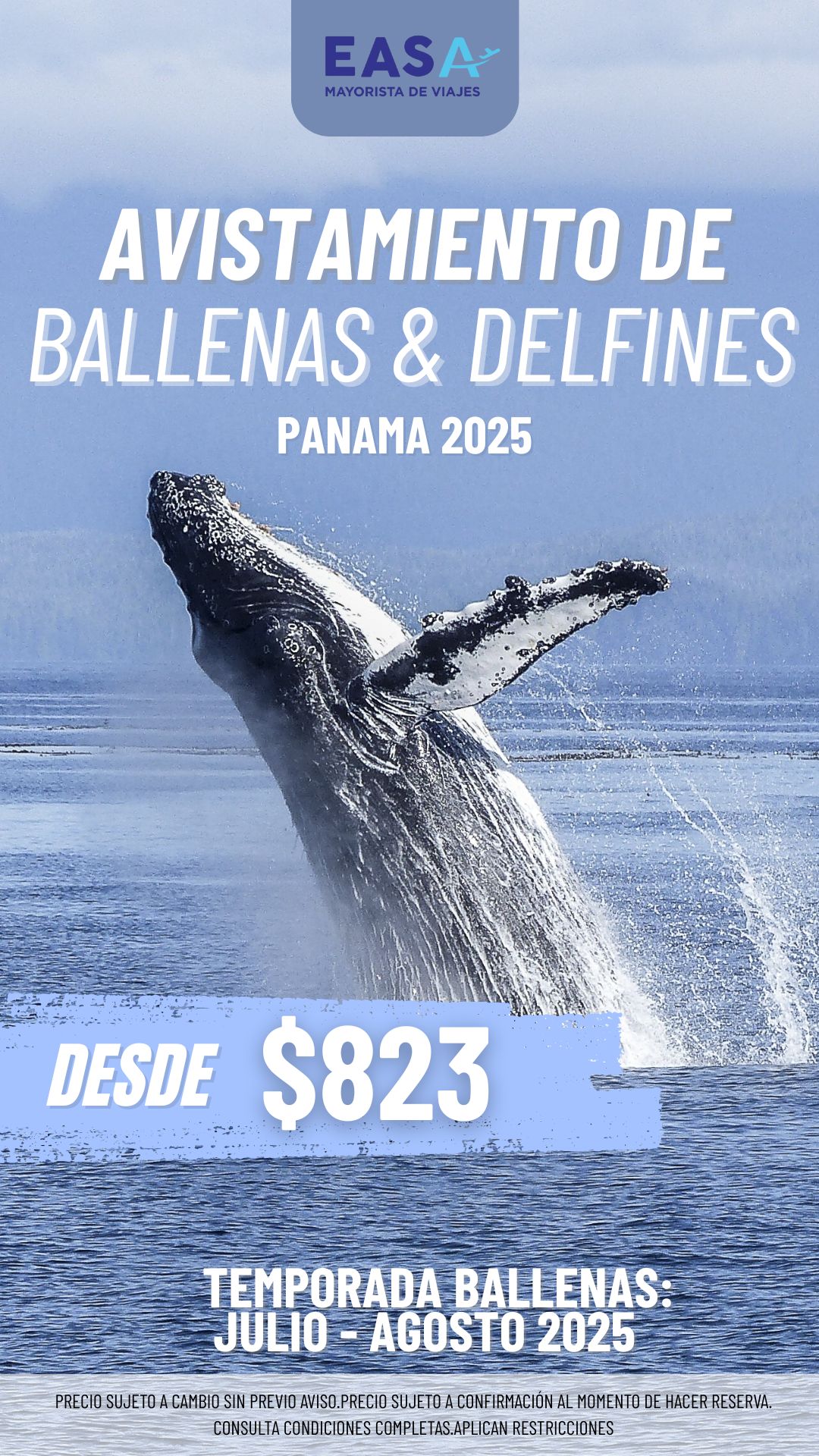 Ballenas